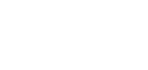 INSESA - Industrial Service and Sales